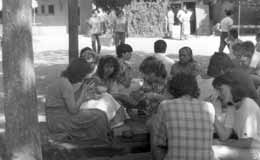 Taiz - wsplny posiek